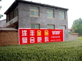鹿寨如何让墙体广告展现最大化效果
