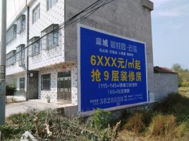 鹿寨墙体广告质量分析