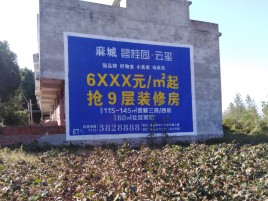 鹿寨品牌公司青睐的墙体广告