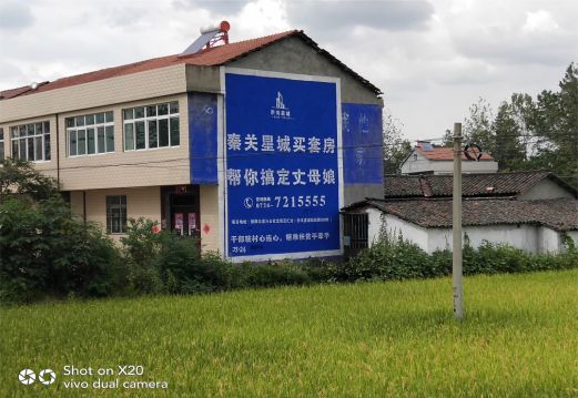 鹿寨决定墙体广告价格的因素有哪些？