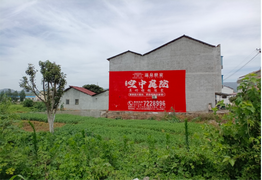 鹿寨做墙体广告的意义